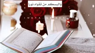 مصطفى مصطفى منبع للصفا مونتاج جمعة مباركة مقاطع انستغرام حالة واتساب 