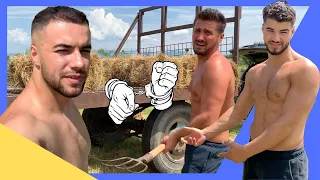 iancu and culi sterp put ciobanu to work