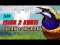 Download Lagu Cungkok Isian Kunti Panjang BerJeda