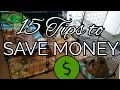 15 Tips to Save Money with a Bunny Holland Lops