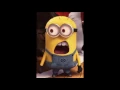 Lagu MINION WHAT SOUND EFFECT