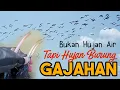 Download Lagu BERBURU BURUNG GAJAHAN di Markas Besar  || BARENG BEDILER CILAMAYA