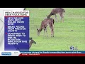 Preston County hunting reserve manager charged for illegally transporting deer across state lines