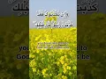 Download Lagu Surah Fatir Ayat 04 #shorts #quran #mukhtar Al Haaj