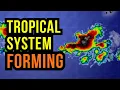 Tropical System Forming