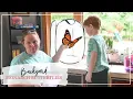 How to Set Up a Monarch Butterfly Cage
