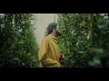 Saba - Mrs. Whoever (Official Music Video)