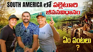 Village Daily Life In Colombia 🇨🇴 | They Treated Me Like Family | Uma Telugu Traveller