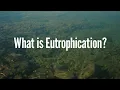 What is Eutrophication