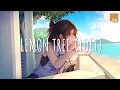 Download Lagu Lemon Tree (lofi) - Gustixa (Vietsub + Lyric)