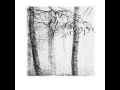 Download Lagu Forest Grave / Marbh - Forest Grave / Marbh (SPLIT STREAM)