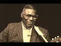 Howlin' Wolf-Forty Four (Rockin' the Blues Live in Germany 1964)