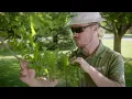 Davey Commercial Landscape Spring Walkthrough