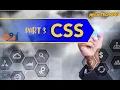 CSS Selectors Explained Simply All CSS Selectors with Examples Part 3