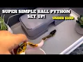 How To Make A Temporary Ball Python Set Up Under 100