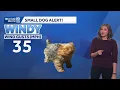 Warmer Windy in SE Wisconsin