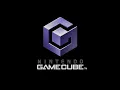 Just a normal Gamecube intro