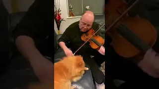 بعيد عنك حياتي عذاب يا تويكس عزف الفنان وائل أبو بكر 