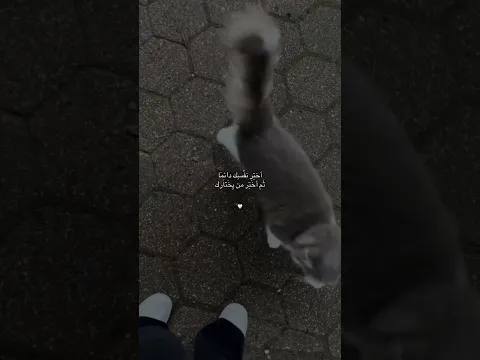اجمل حالات واتس اب هادئة😴خواطر حزينةمع موسيقى تركية حزينة هادئة😴مقاطع انستا قصيرة حزينة💔هدوء😴٥