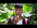 [FULL VIDEO] Searching for Rare Medicinal Herbs in the Forest... Every Discovery Is a Surprise!