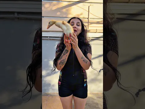 Elimdeki sürahi hangi hayvana benziyor #sorts #shortvideo #fyp #youtubeshorts