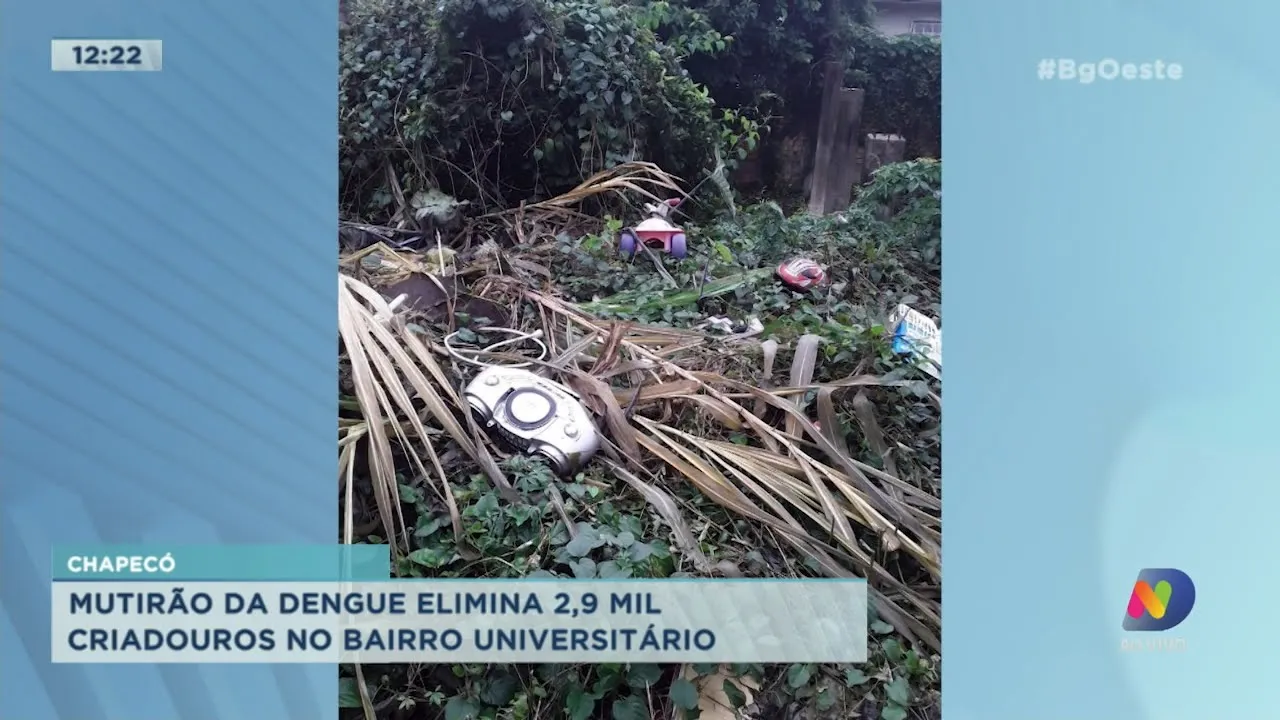 Cuidados devem continuar para manter números dos casos de Dengue em baixa