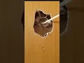 Repairing a punched hollow door hack