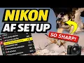 Best Nikon AF Setup for Wildlife Photography Nikon Z Series
