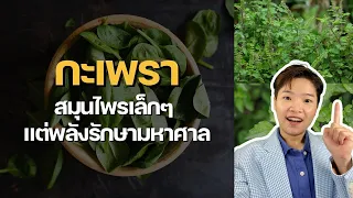 กินกะเพราช่วยบำรุงหัวใจได้หรือไม่