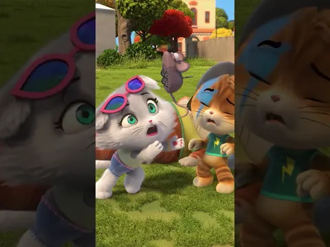 A situação está fugindo do controle! #shorts | 44 Gatos