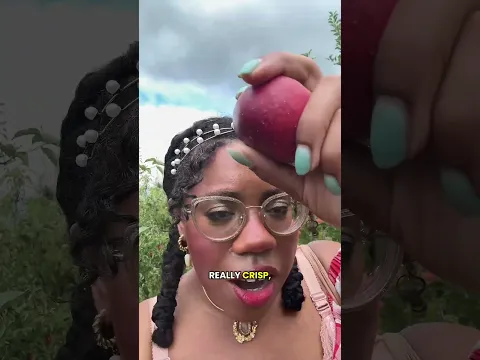 the BEST apple variety 🍎