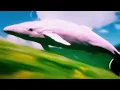 The Shiver (Official Visualiser) - Jayda G
