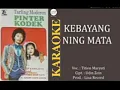 Download Lagu KEBAYANG NING MATA KARAOKE HJ TITIN MARYATI LAGU TARLING LAWAS