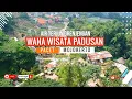 Lagu WANA WISATA AIR PANAS PADUSAN PACET || AIR TERJUN GRENJENGAN PACET