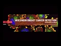 Data Science Project- Introduction Breast Cancer Detection using SVM and KNN