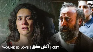 amazing ost by nabeel shaukat ali aatish e ishq wounded love mera sultan rm2n