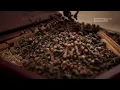 Download Lagu Iklan Camel Kretek - Inilah Sebuah Tradisi Dengan Sentuhan Modern (2025)