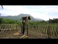 Download Lagu 💪 A Hard Day of a Single Mother in a Bamboo House: Building a Gate, Making a Fence - Free Life