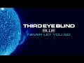 Third Eye Blind - Never Let You Go (Official Visualizer)