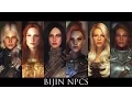 TES V - Skyrim Mods Bijin NPCs