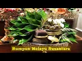 Download Lagu SELENDANG MAK INANG - Instrumental Melayu
