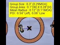 22 ARC - 80 5gr Berger full-bore and LeveRevolution testing Federal CCI and White River primers