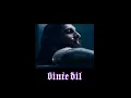 binte dil // slowed + reverb