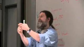 2 Behavioral Evolution
