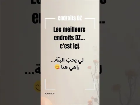La meilleure brioche en Algérie ? 😲 | Découverte Endroits DZ – Brioch’art