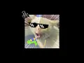 Download Lagu DJ BABIBUMBUMBUM THAILAND STYLE BY RAKA REMIX [ version tiktok ] 🎵🎶