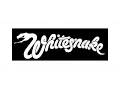 Whitesnake - Slide It In on screen