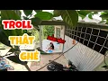 Download Lagu Anh Ba Phải | Troll Thật Ghẻ Và Cái Kết