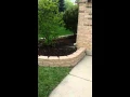 How to install edging block from Menards 99c Part2