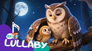 Bedtime Lullaby With Cute Owls and Forest Friends